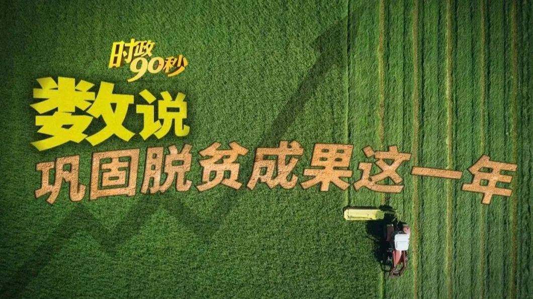 时政90秒丨数说巩固脱贫成果这一年