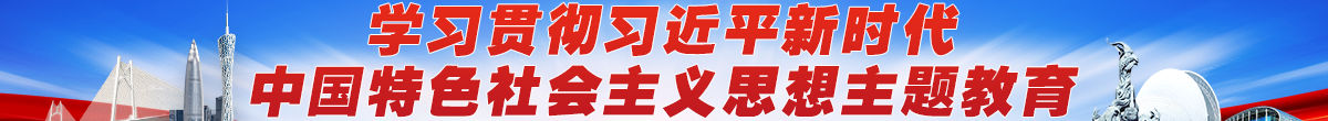 学习贯彻习近平新时代中国特色社会主义思想主题教育