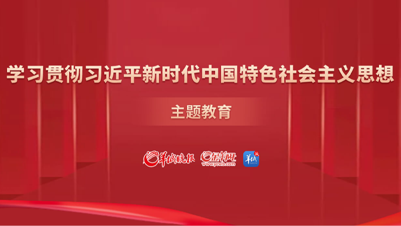 学习贯彻习近平新时代中国特色社会主义思想主题教育