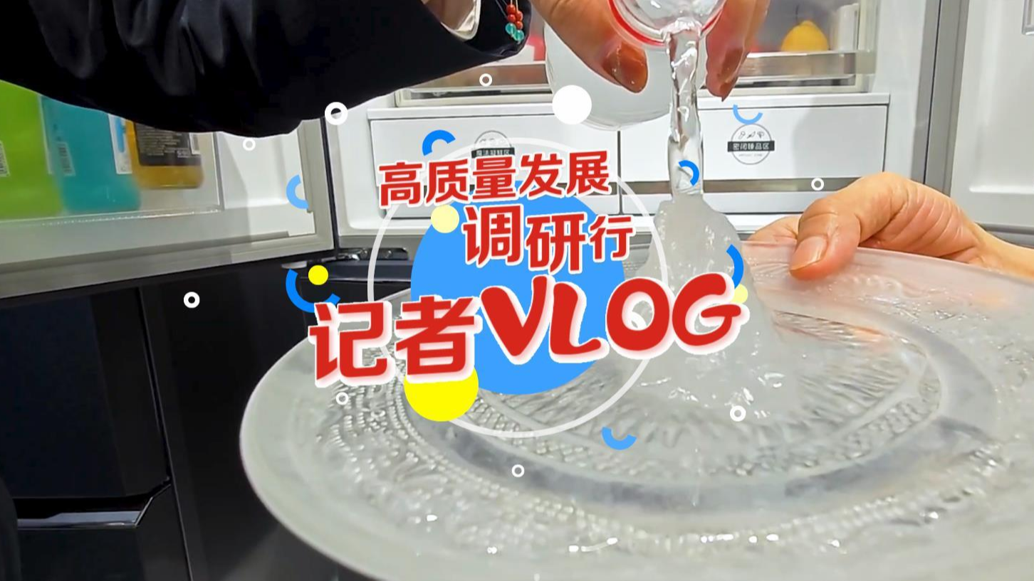 高质量发展调研行vlog｜酷！自研“大冰箱”让全球吃上岭南新鲜荔枝