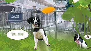 长图 | 当警犬遇上广交会