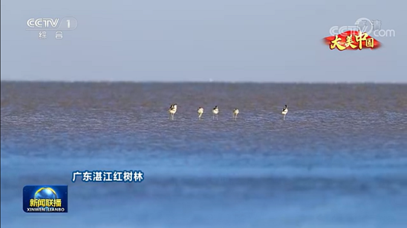 微信图片_20220308101110.png