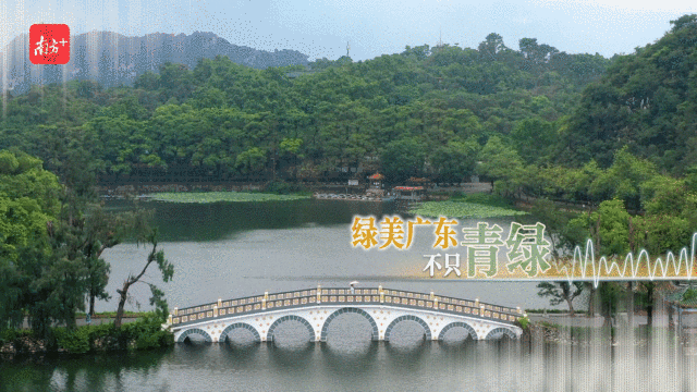 6.gif