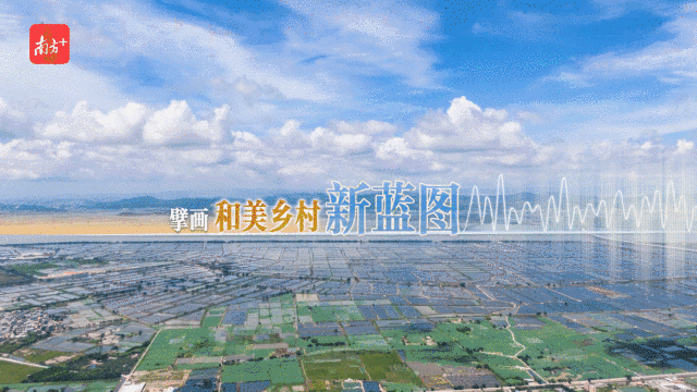 8.gif