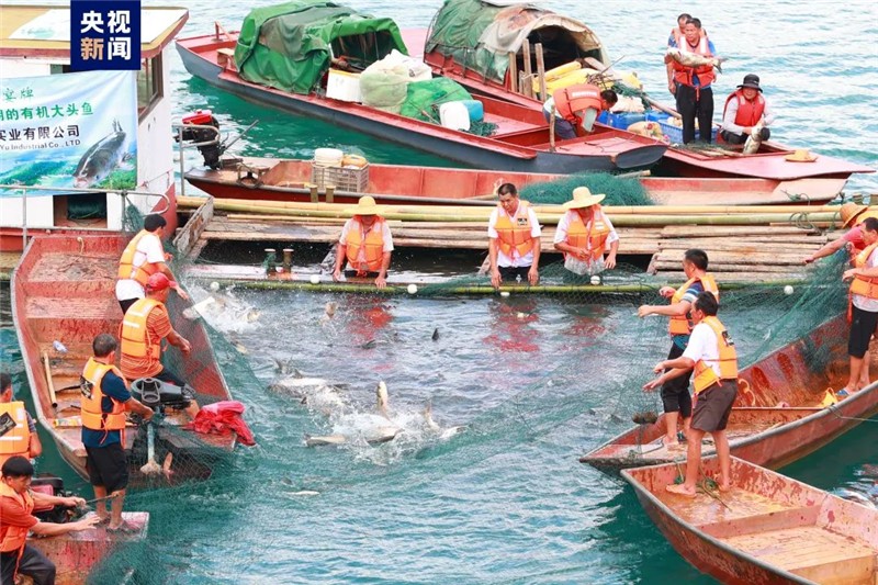 河源万绿湖开渔