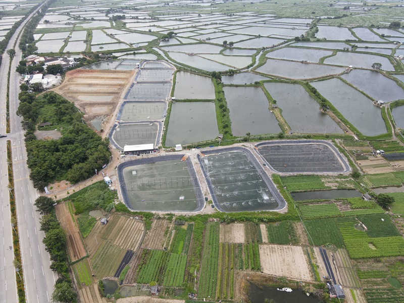 汫洲镇东灶村现代化水产健康养殖示范基地