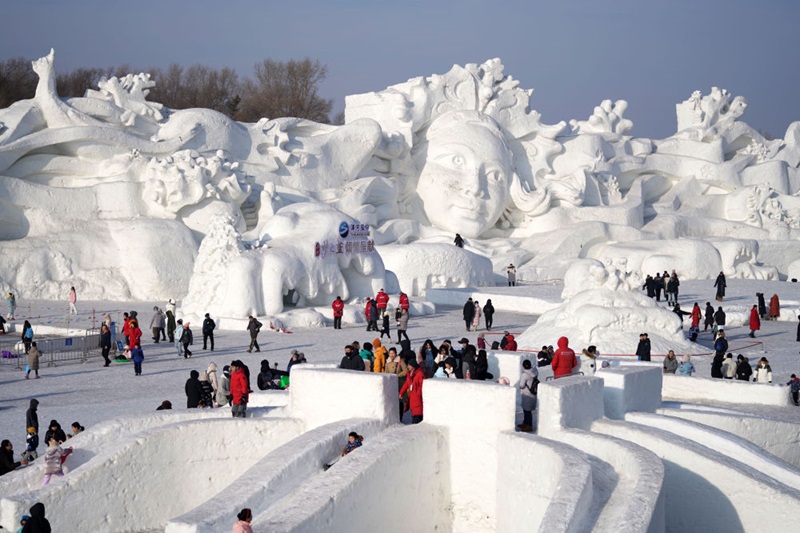 2月13日，游客在哈尔滨太阳岛雪博会园区内体验冰雪娱乐项目。新华社记者王建威 摄
