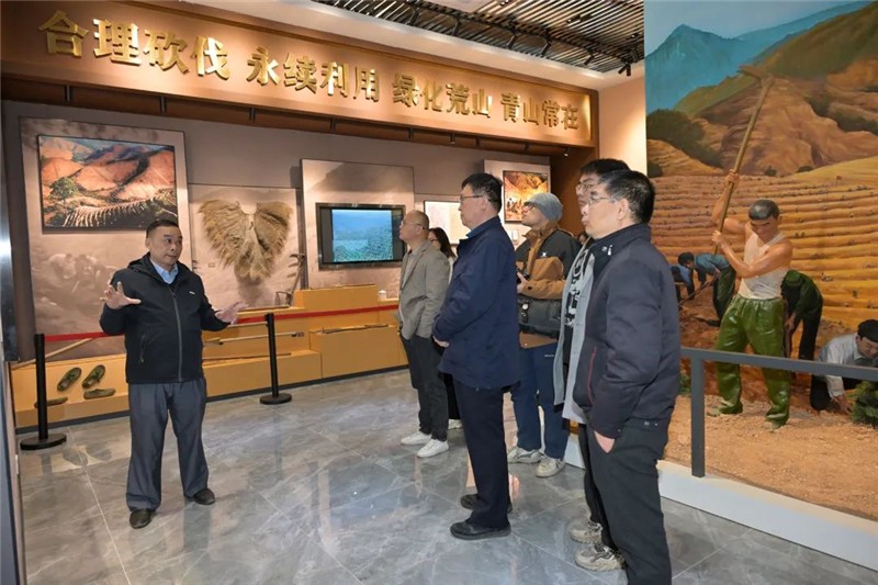 采风团听取工作人员讲解岳山造林历史。肇庆市融媒体中心记者 吴勇强 摄