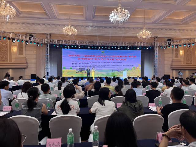 活动现场。 南方+ 刘宇恒 拍摄