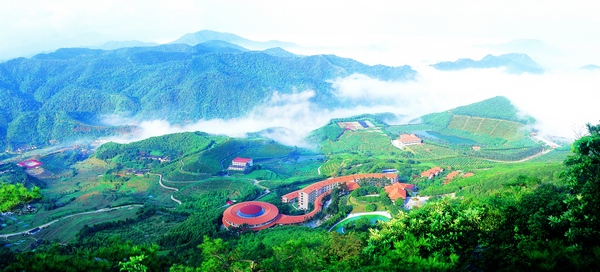 雁南飞茶田景区